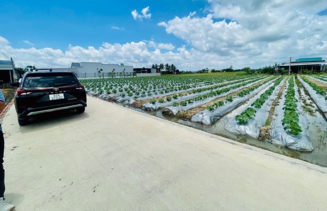 Bán đất vườn 333m2 (sẵn 100m2) đất thổ cạnh QL50