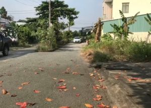 Bán đất thổ cư QL50, Tân Mỹ Chánh, Mỹ Tho, Tiền Giang