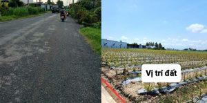 Bán 336m2 thổ vườn cách 70m tỉnh lộ 873, về trung tâm thị xã chỉ 2km