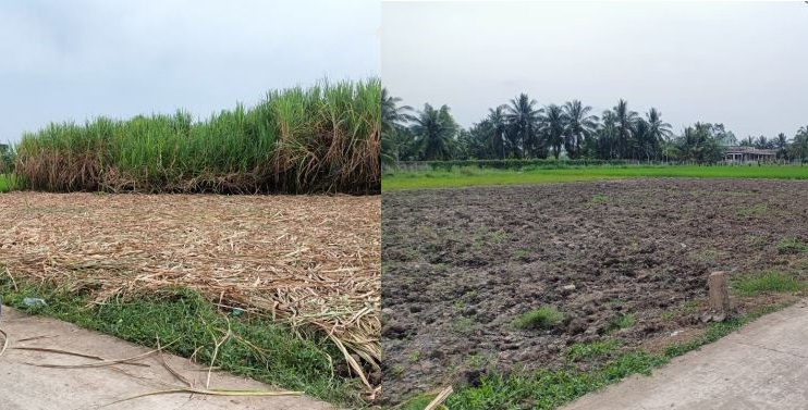 Bán gấp lô đất 123m2 gần cầu Bình Xuân, TX Gò Công, sổ hồng riêng, đường sắp mở