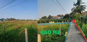 Bán gấp miếng đất lúa xã trung hoà huyện chợ gạo tiền giang chính chủ