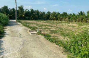 Cần bán nền đất thuộc Bình Lợi, xã Tân Mỹ Chánh