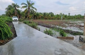 Bán đất 1000m2 đường ô tô cách Bệnh Viện Sản Nhi TP Tân An 5km