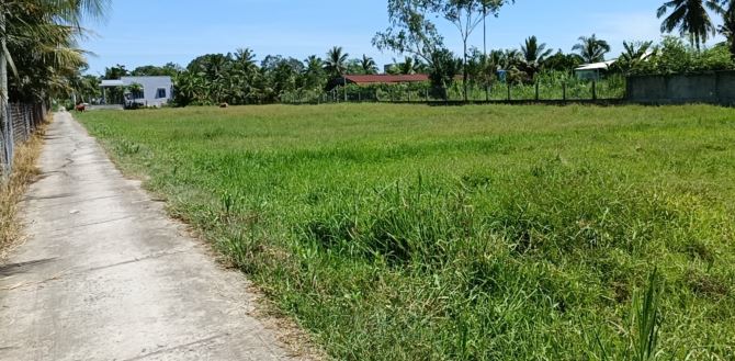 Bán đất thổ cư KDC Tân Lý Tây, đường bê tông, Châu Thành, Tiền Giang