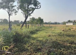 Bán 2 công đất vườn có 500m2 thổ cư, Long Hòa, Gò Công, Tiền Giang