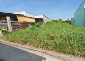Bán đất đường bêtông TL871 gần chợ Kiểng Phước, Gò Công Đông, TG