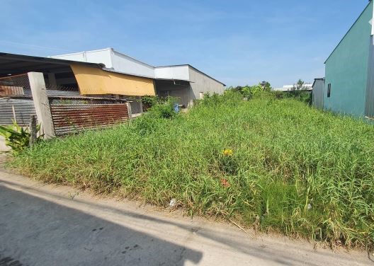 Bán đất đường bêtông TL871 gần chợ Kiểng Phước, Gò Công Đông, TG