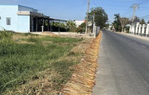 Bán Đất MT 12 x 39m Tỉnh Lộ 873B xã Tân Trung, Gò Công, Tiền Giang