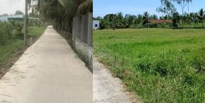 Bán đất TC đường bê tông KDC Tân Lý Tây, Châu Thành, Tiền Giang