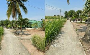 Bán đất Bình Xuân DT 469M2 xã Gò Công, Tiền Giang