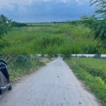 Cần bán 1,5 công đất thổ, ôtô gần biển Rạch Bùn, Gò Công Đông, Tiền Giang